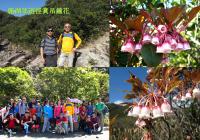 Hiking Photos of Liu Sir (Photo 4) @ Luk Wu Country Trail
